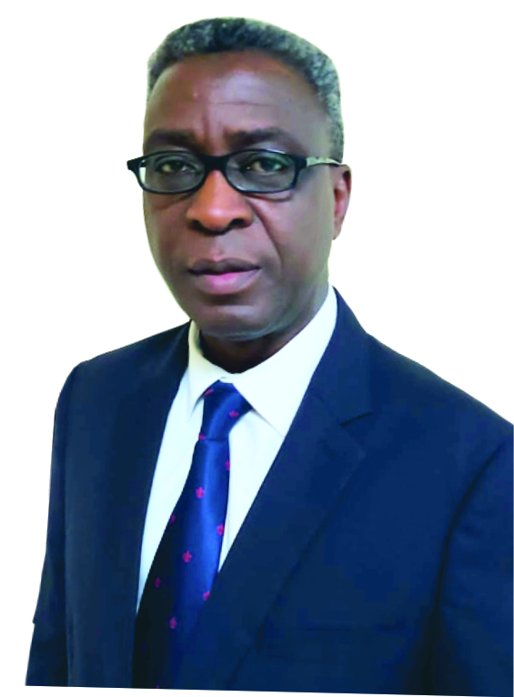 Mr. Olusegun Michael Olawuyi